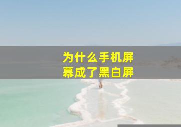 为什么手机屏幕成了黑白屏