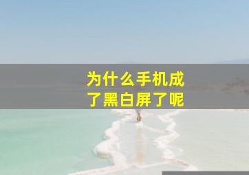 为什么手机成了黑白屏了呢