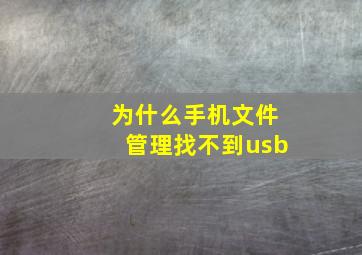 为什么手机文件管理找不到usb