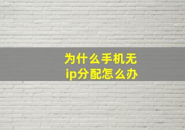 为什么手机无ip分配怎么办