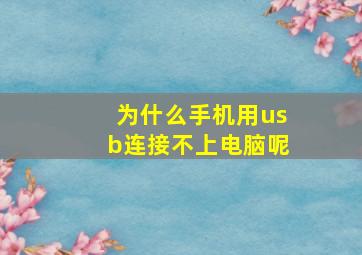 为什么手机用usb连接不上电脑呢