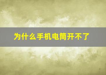 为什么手机电筒开不了