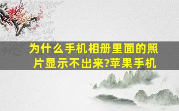 为什么手机相册里面的照片显示不出来?苹果手机