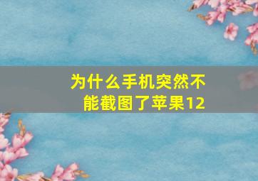 为什么手机突然不能截图了苹果12