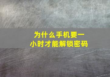 为什么手机要一小时才能解锁密码