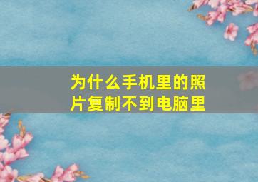 为什么手机里的照片复制不到电脑里