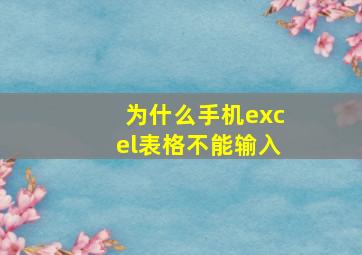 为什么手机excel表格不能输入