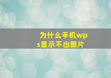 为什么手机wps显示不出图片