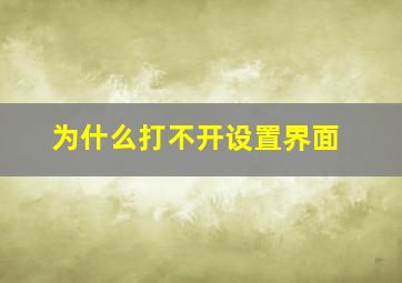 为什么打不开设置界面