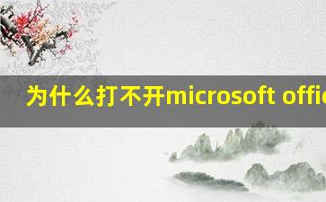 为什么打不开microsoft office