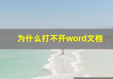 为什么打不开word文档