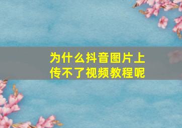 为什么抖音图片上传不了视频教程呢