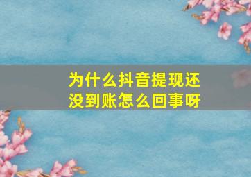 为什么抖音提现还没到账怎么回事呀