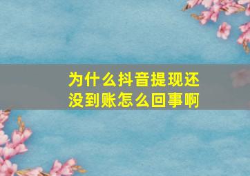 为什么抖音提现还没到账怎么回事啊