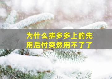 为什么拼多多上的先用后付突然用不了了