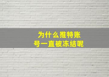 为什么推特账号一直被冻结呢