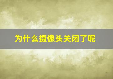 为什么摄像头关闭了呢