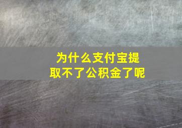 为什么支付宝提取不了公积金了呢