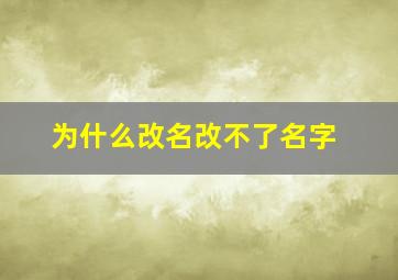 为什么改名改不了名字