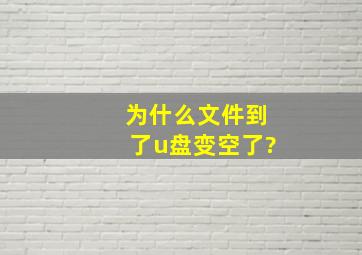 为什么文件到了u盘变空了?