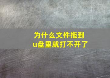 为什么文件拖到u盘里就打不开了