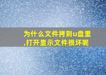 为什么文件拷到u盘里,打开显示文件损坏呢