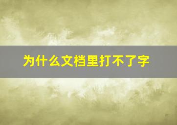 为什么文档里打不了字