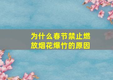 为什么春节禁止燃放烟花爆竹的原因