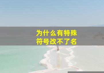 为什么有特殊符号改不了名