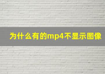 为什么有的mp4不显示图像