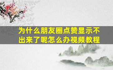 为什么朋友圈点赞显示不出来了呢怎么办视频教程