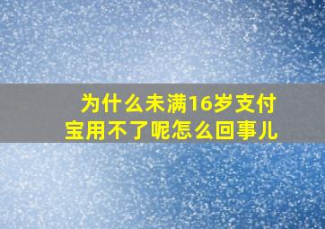 为什么未满16岁支付宝用不了呢怎么回事儿