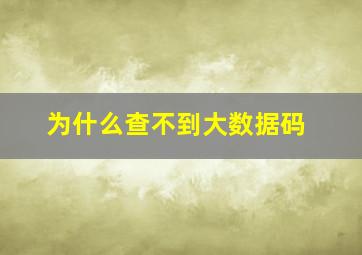 为什么查不到大数据码