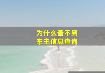 为什么查不到车主信息查询