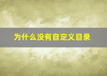 为什么没有自定义目录