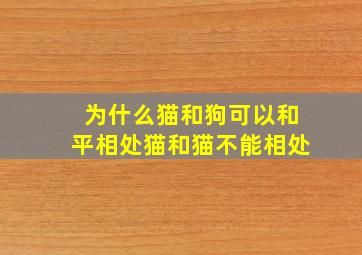 为什么猫和狗可以和平相处猫和猫不能相处