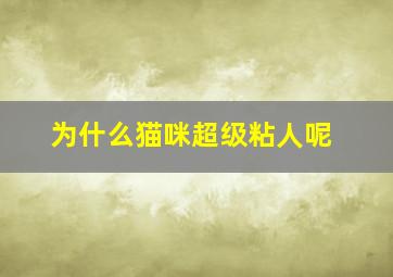 为什么猫咪超级粘人呢