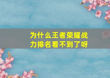 为什么王者荣耀战力排名看不到了呀