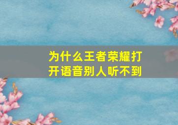 为什么王者荣耀打开语音别人听不到