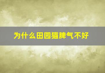 为什么田园猫脾气不好