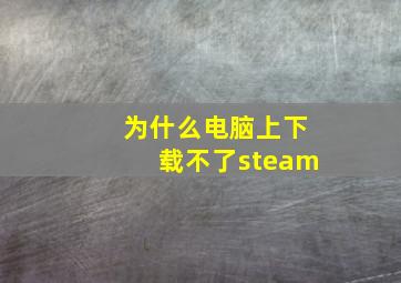 为什么电脑上下载不了steam