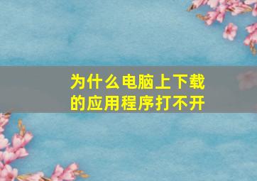 为什么电脑上下载的应用程序打不开