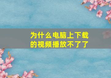 为什么电脑上下载的视频播放不了了