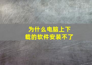 为什么电脑上下载的软件安装不了