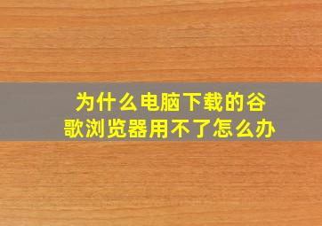 为什么电脑下载的谷歌浏览器用不了怎么办