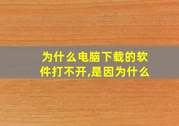 为什么电脑下载的软件打不开,是因为什么