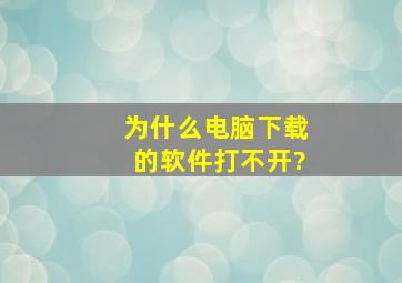 为什么电脑下载的软件打不开?