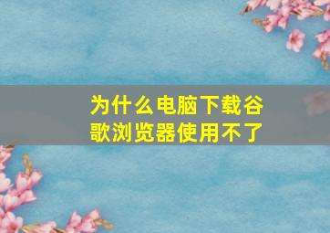 为什么电脑下载谷歌浏览器使用不了