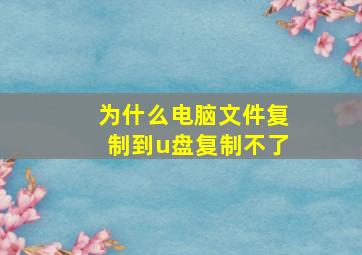 为什么电脑文件复制到u盘复制不了