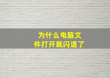 为什么电脑文件打开就闪退了